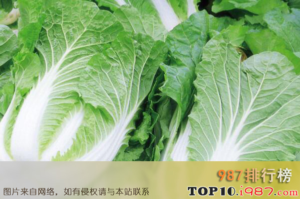 十大最常见的叶菜类蔬菜品种之大白菜