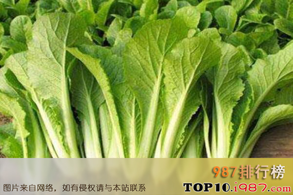 十大最常见的叶菜类蔬菜品种之小白菜