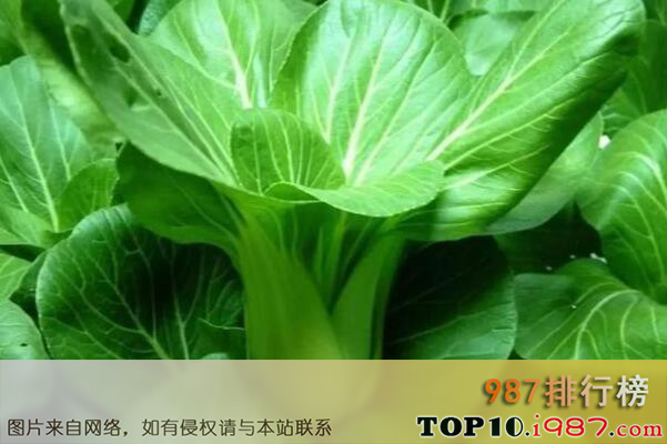 十大最常见的叶菜类蔬菜品种之油菜
