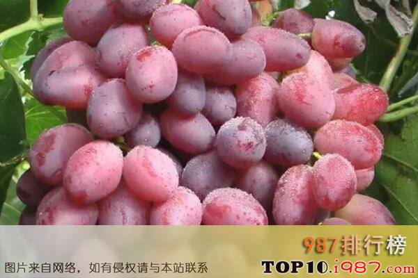 十大新疆知名葡萄品种之里扎马特葡萄