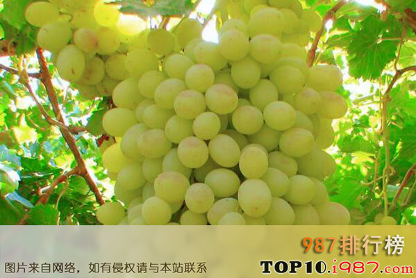 十大新疆知名葡萄品种之木纳格葡萄