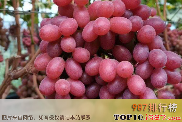 十大新疆知名葡萄品种之粉红太妃葡萄