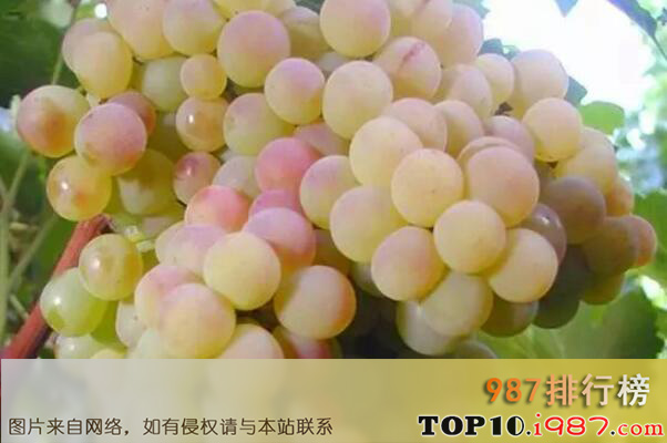 十大新疆知名葡萄品种之和田红葡萄