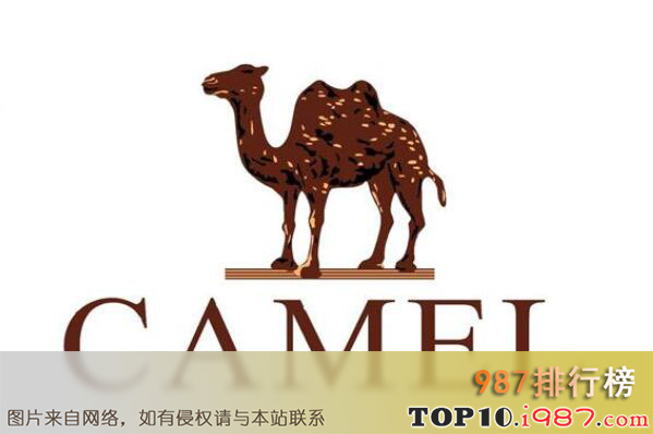 十大双十一热门女鞋品牌之骆驼camel