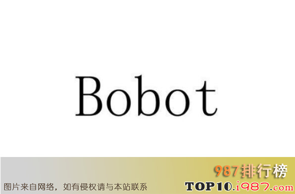 十大电动拖把品牌之bobot博宝特