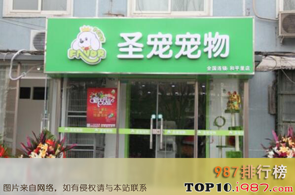 十大国内宠物店连锁品牌之圣宠宠物favorpets