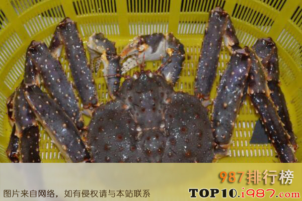 十大世界体型最大的螃蟹品种之阿拉斯加帝王蟹