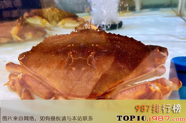 十大世界体型最大的螃蟹品种之首长黄道蟹