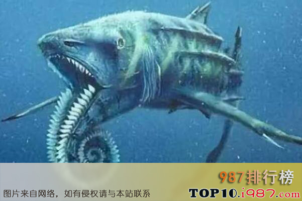十大最危险的已灭绝史前巨兽之旋齿鲨