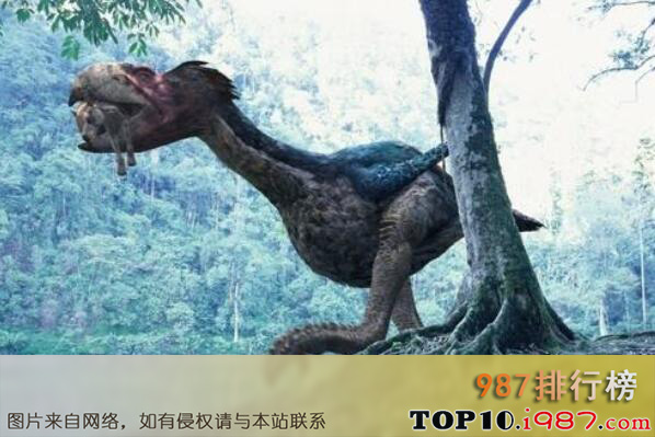 十大最危险的已灭绝史前巨兽之恐鸟