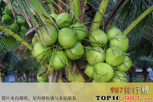 十大海南可以带走的特产之文昌椰子