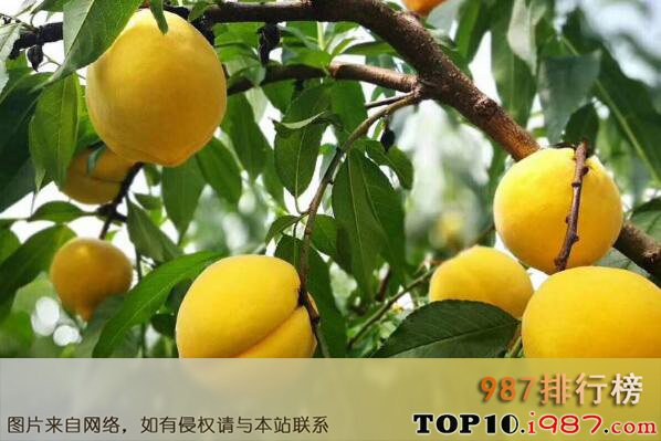 十大湖南最有名的特产之炎陵黄桃