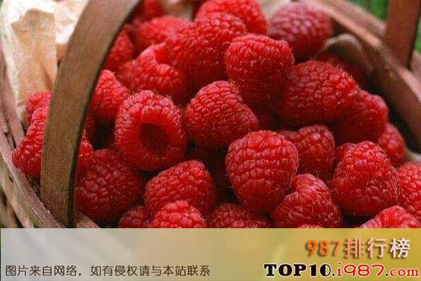 十大沈阳可以带走的特产之东陵红树莓