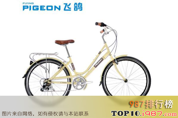 十大世界碳纤维自行车品牌之飞鸽