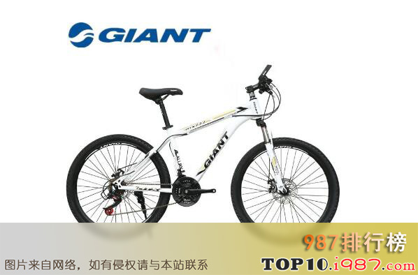十大世界顶级自行车品牌之捷安特giant