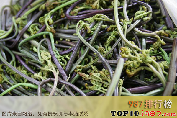 十大最常见的野菜品种之蕨菜