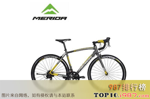 十大世界公路自行车品牌之美利达merida