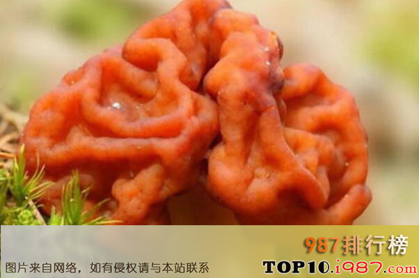 十大世界最奇特的蘑菇之鹿花菌