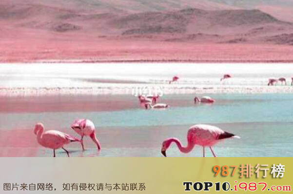 十大世界最奇特的湖泊之红湖
