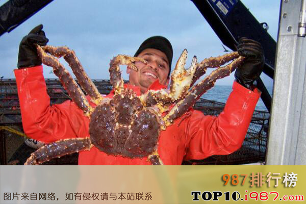 十大世界上最大的螃蟹之阿拉斯加帝王蟹