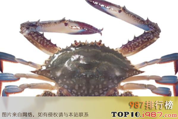 十大世界上最大的螃蟹之三疣梭子蟹