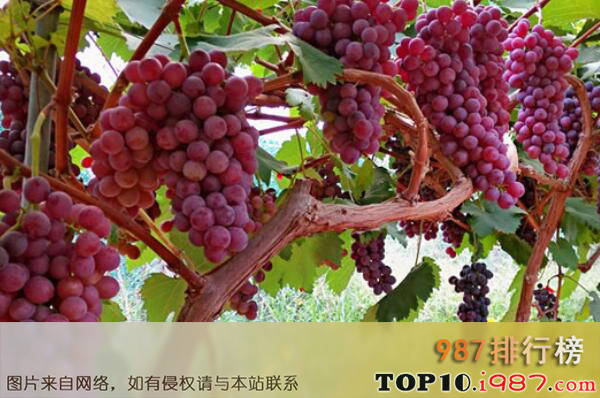 十大新疆知名特色农产品之吐鲁番葡萄