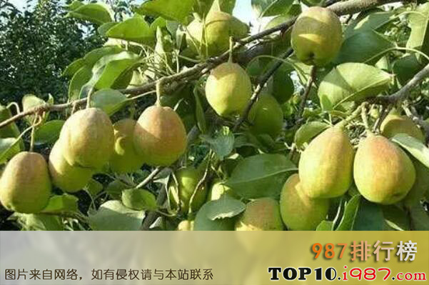 十大新疆知名特色农产品之库尔勒香梨