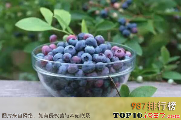 十大黑龙江热门特产之伊春蓝莓