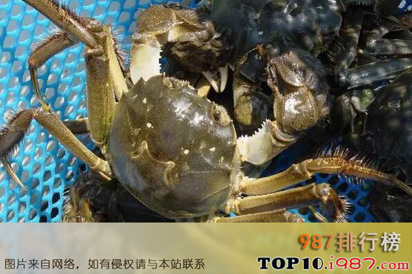 十大脚最多的动物之螃蟹