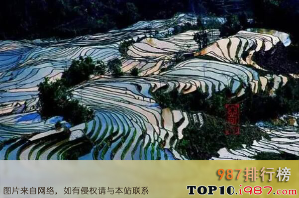 十大世界著名咖啡豆产地之中国云南