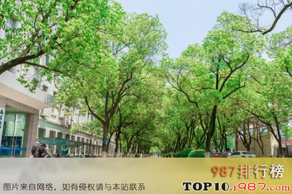 十大最美观的城市绿化树种之国槐