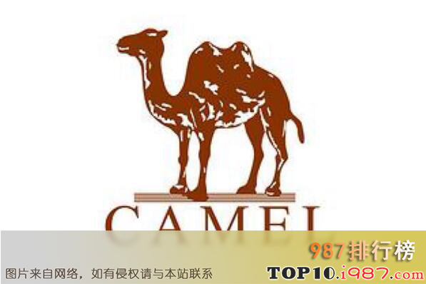 十大国产户外品牌之骆驼camel