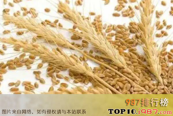 十大纤维含量最高的食物之小麦