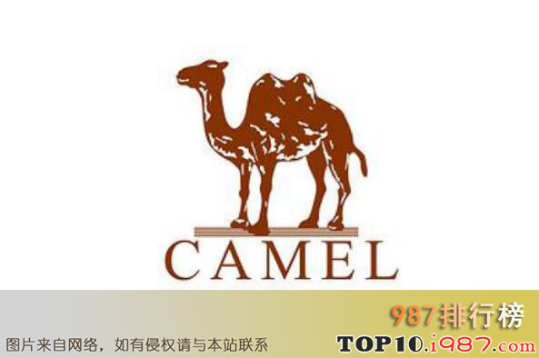 十大顶级户外服装品牌排行榜之骆驼camel