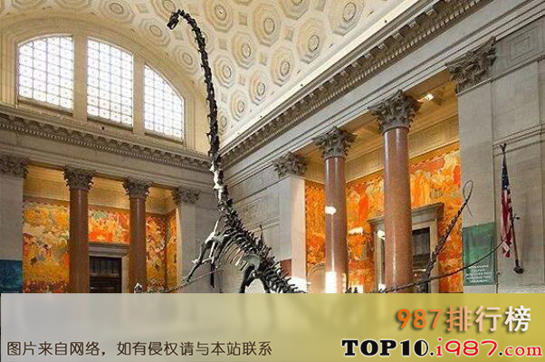 十大世界知名博物馆之美国自然历史博物馆