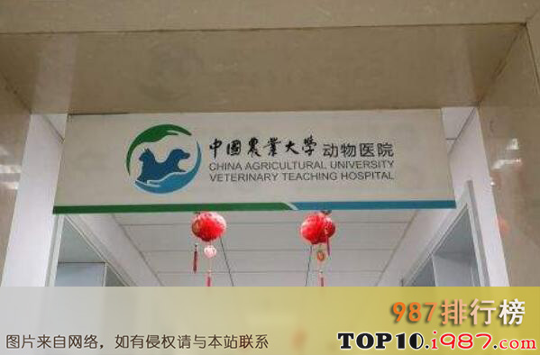 十大宠物医院知名品牌之中国农业大学动物医院