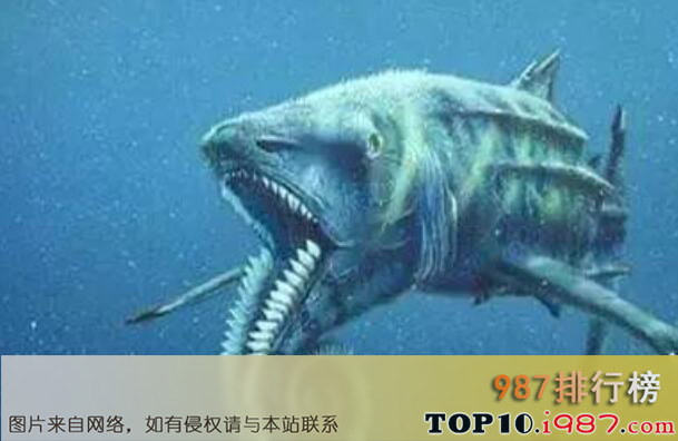 十大史前海洋巨兽之太陆鲨