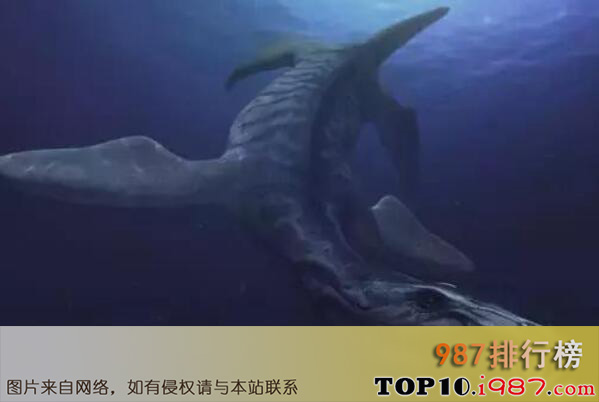 十大史前海洋巨兽之滑齿龙