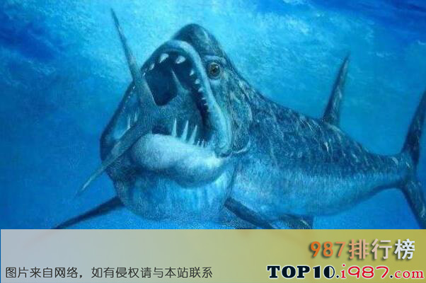 十大远古巨鲨之巨牙鲨