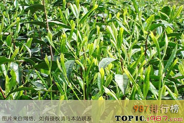十大最贵的茶叶之安徽太平猴魁