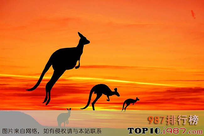 十大最幸福的国家之澳大利亚