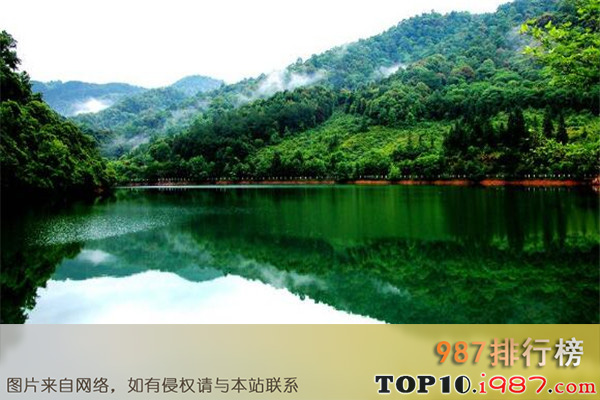 十大赣州著名旅游景点之阳岭国家森林公园