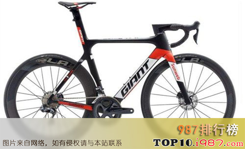十大公路自行车品牌之捷安特/giant(中国)