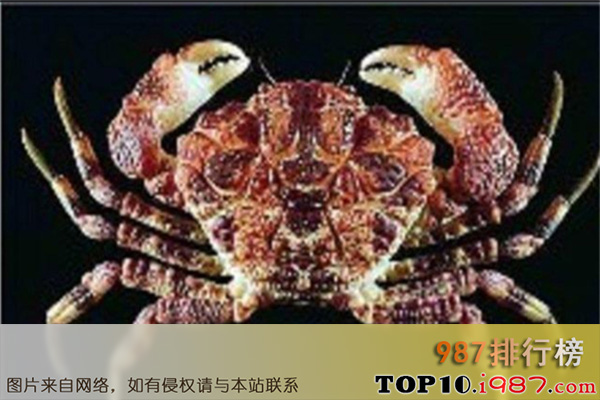 十大世界毒蟹之雷诺氏鳞斑蟹