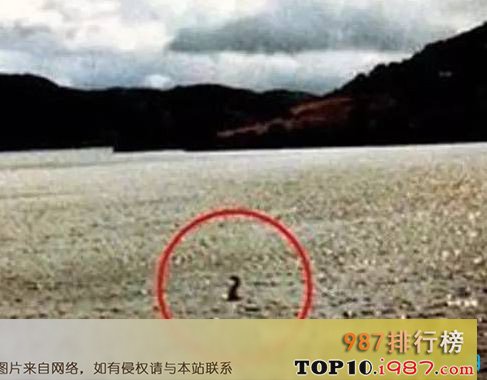 十大世界水怪之世界十大水怪之一：青海湖水怪