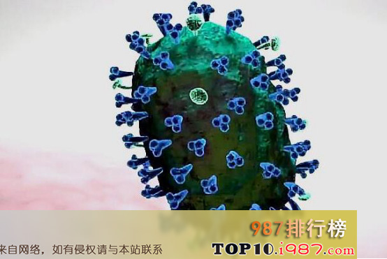 十大世界恐怖病毒之甲型h1n1流感病毒