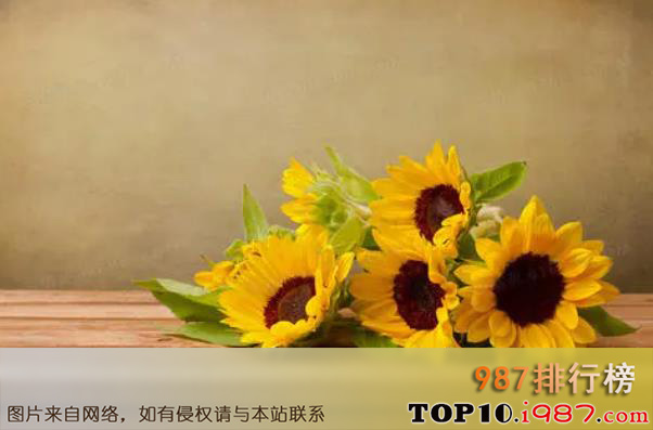 十大世界最著名的国花之向日葵