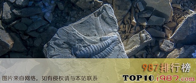 十大世界自然遗产之澄江化石遗址
