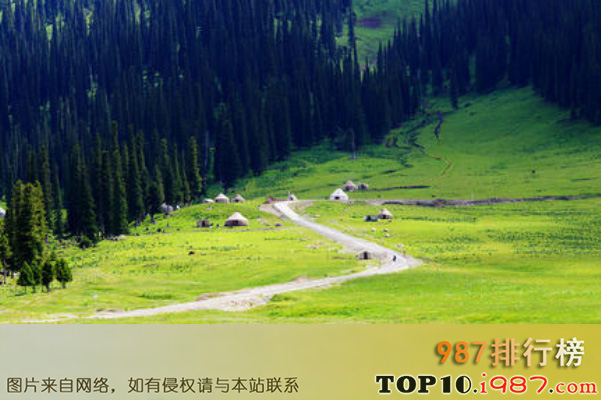 十大新疆最受欢迎的景点之那拉提旅游风景区