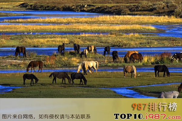 十大新疆最受欢迎的景点之巴音布鲁克草原